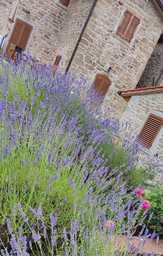 Podere Verdi Colline Poppi Exterior foto