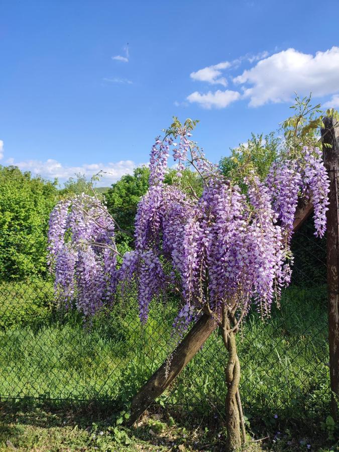 Podere Verdi Colline Poppi Exterior foto